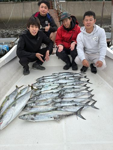 サワラの釣果