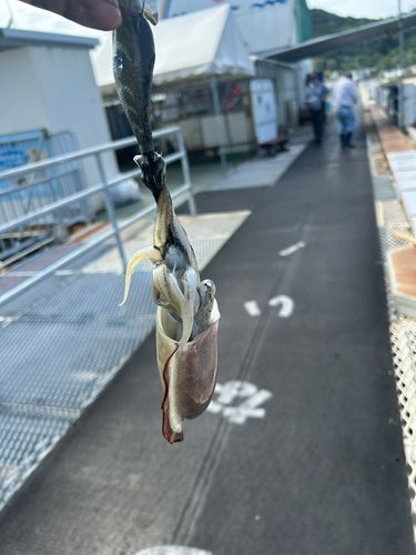 福岡市海づり公園