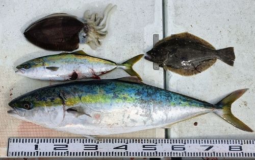 長浜港（伊予）