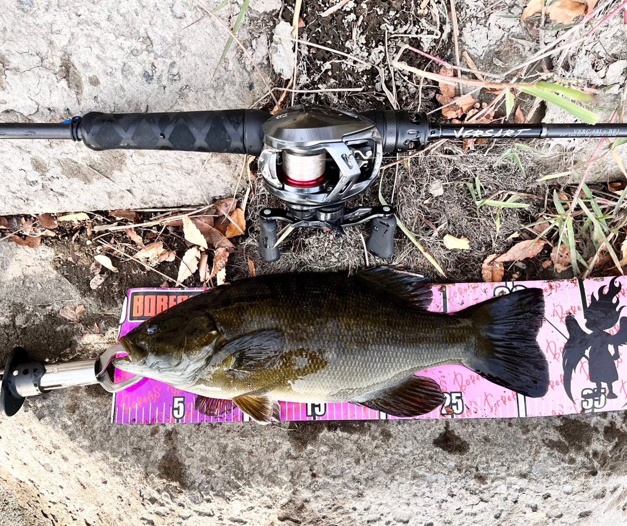 スモールマウスバス