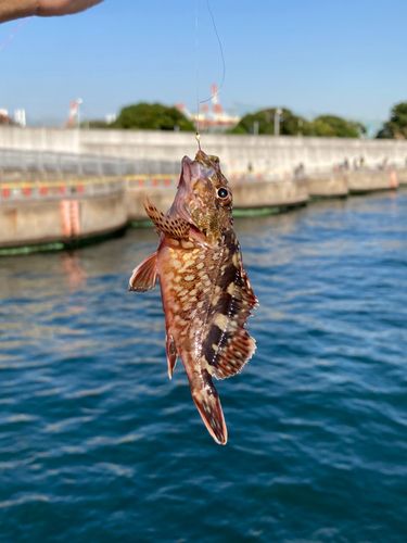 本牧海づり施設