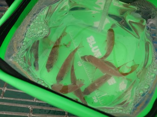 あかぐり海釣公園