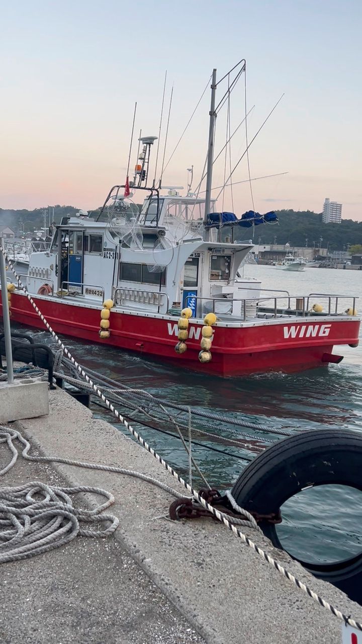 名古屋のKAZUさんの釣果 2枚目の画像