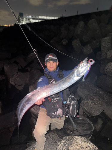 タチウオの釣果