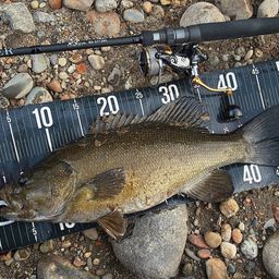 スモールマウスバス