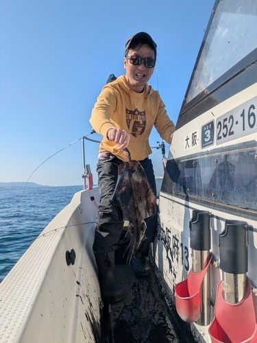 コウイカの釣果