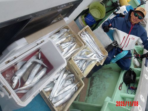 タチウオの釣果