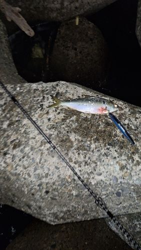 ディズニーリゾート付近