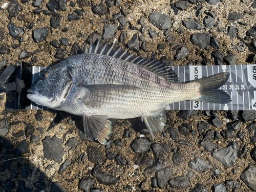 大村湾（北部）