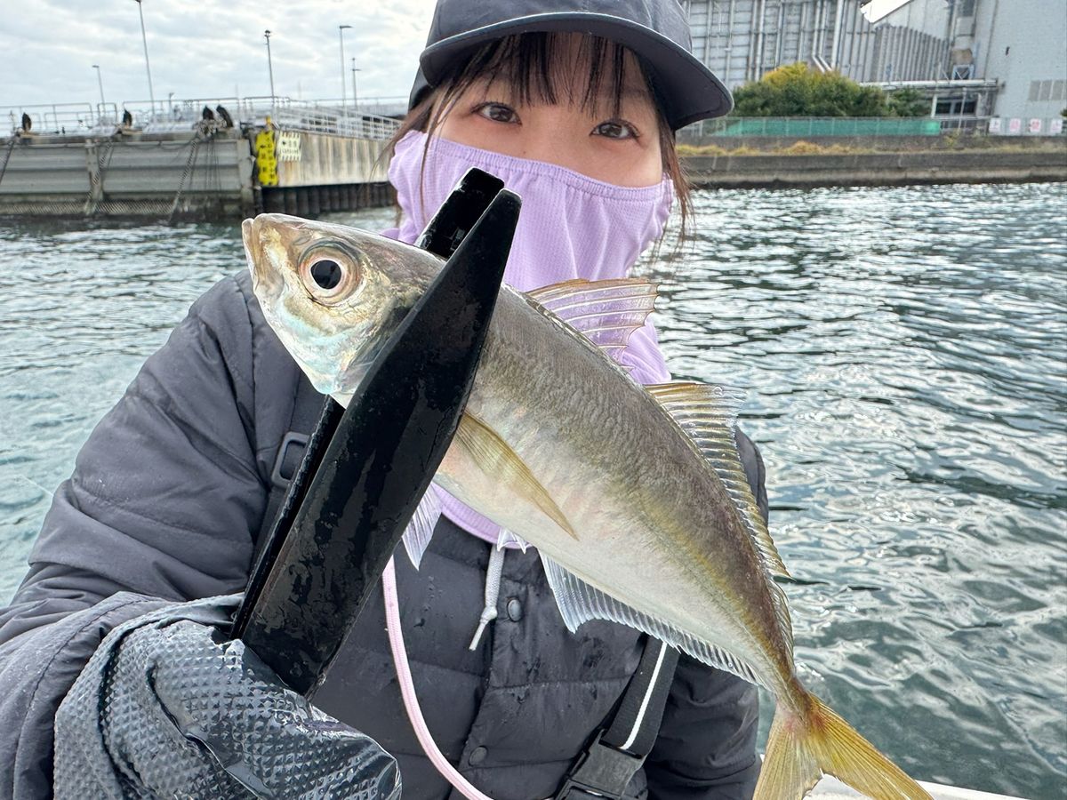 あや🐟さんの釣果 1枚目の画像