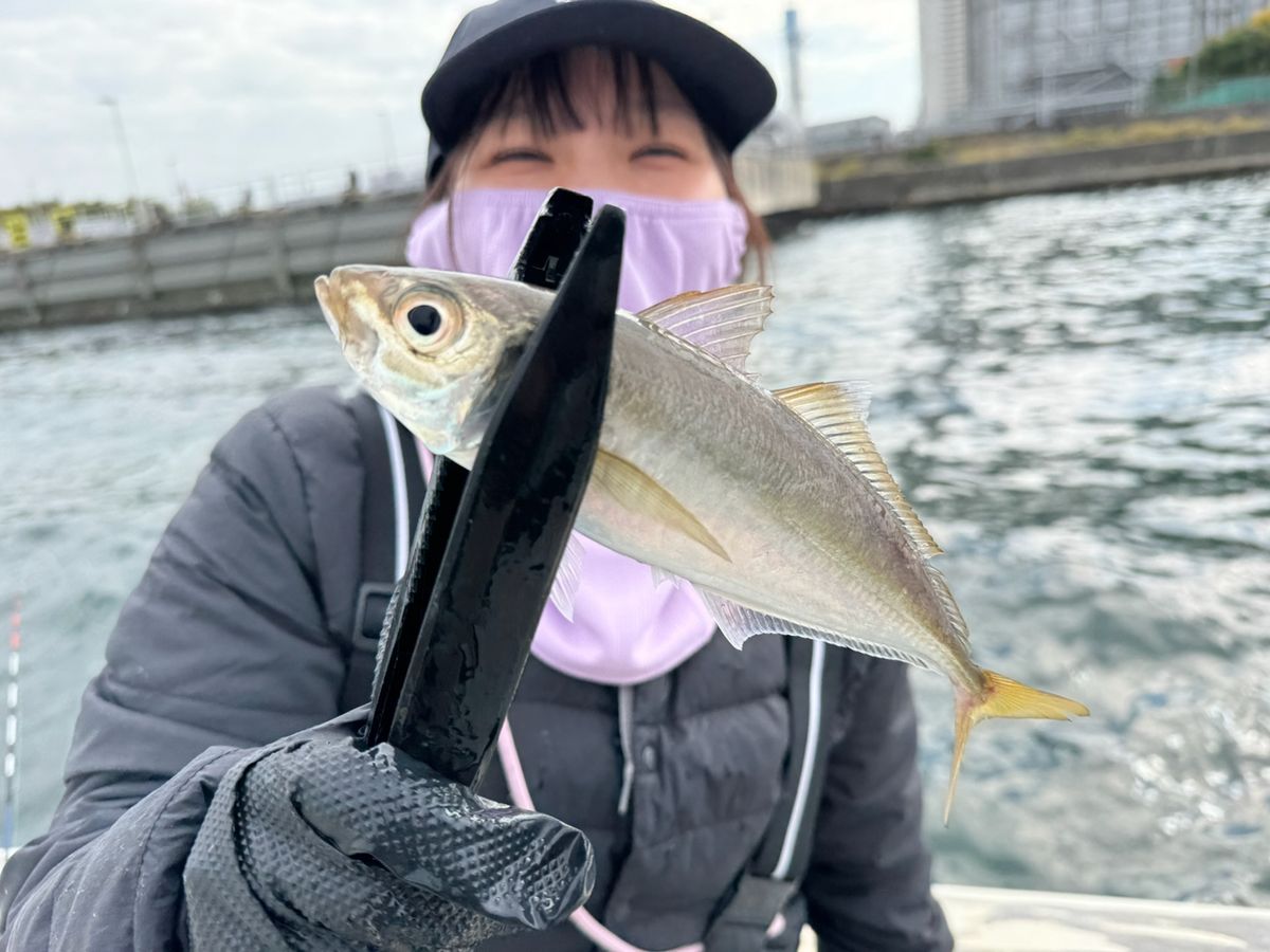 あや🐟さんの釣果 2枚目の画像
