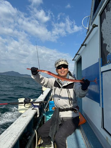 アカヤガラの釣果