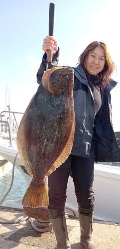 ヒラメの釣果