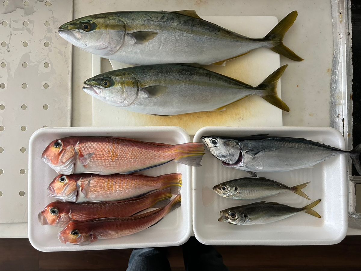 ＤＩＣＥーＫさんの釣果 2枚目の画像