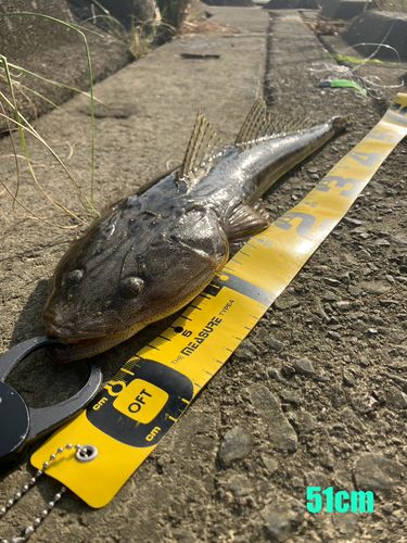 長良川揖斐川合流点