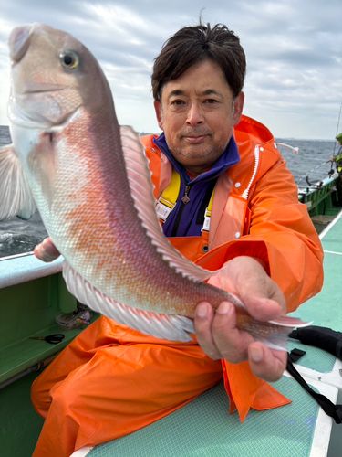 アマダイの釣果
