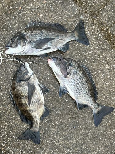 千葉港中央埠頭