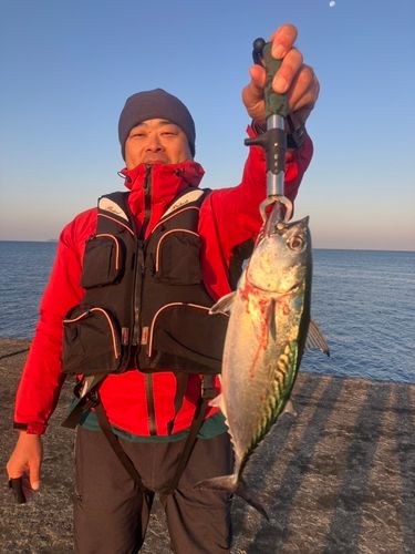 浜田港（島根）