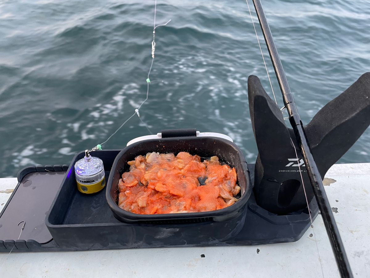 ANGLERSつんこさんの釣果 2枚目の画像