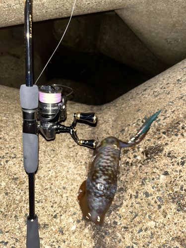 志賀島赤灯台東波止