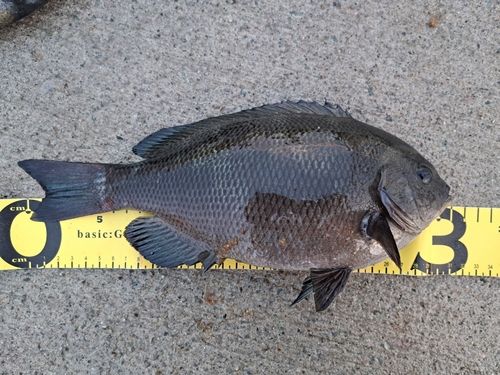 南芦屋浜ベランダ