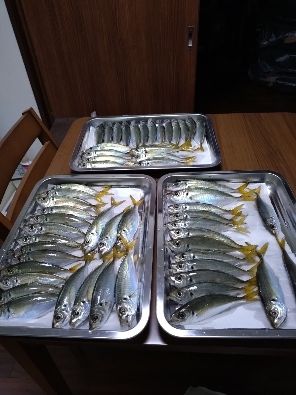 JINJINJINさんの釣果 2枚目の画像