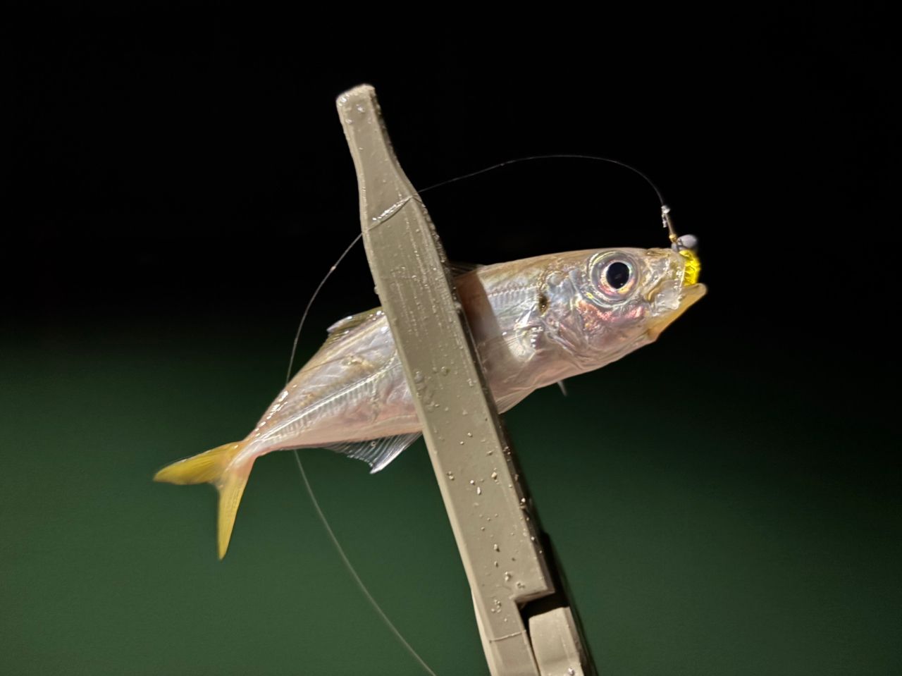 DUO テトラワークス リアクト TWRT-58の最安値・インプレ・釣果 | 本音