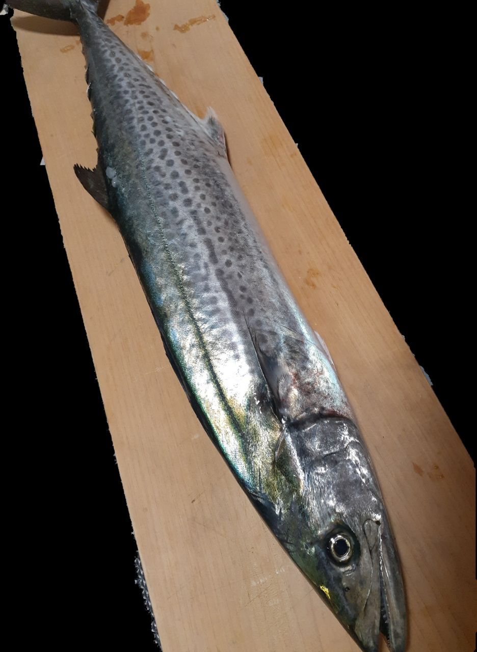 SHIMANO 20コルトスナイパー XR S100MLの最安値・インプレ・釣果