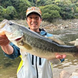 ラージマウスバス