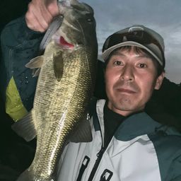 ラージマウスバス