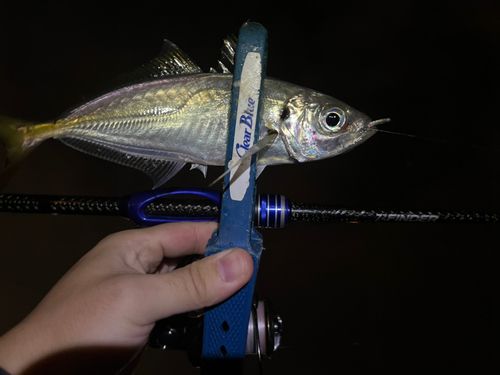 東京湾（アクアライン〜富津）