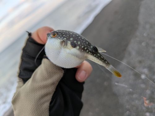 茅ヶ崎ヘッドランド