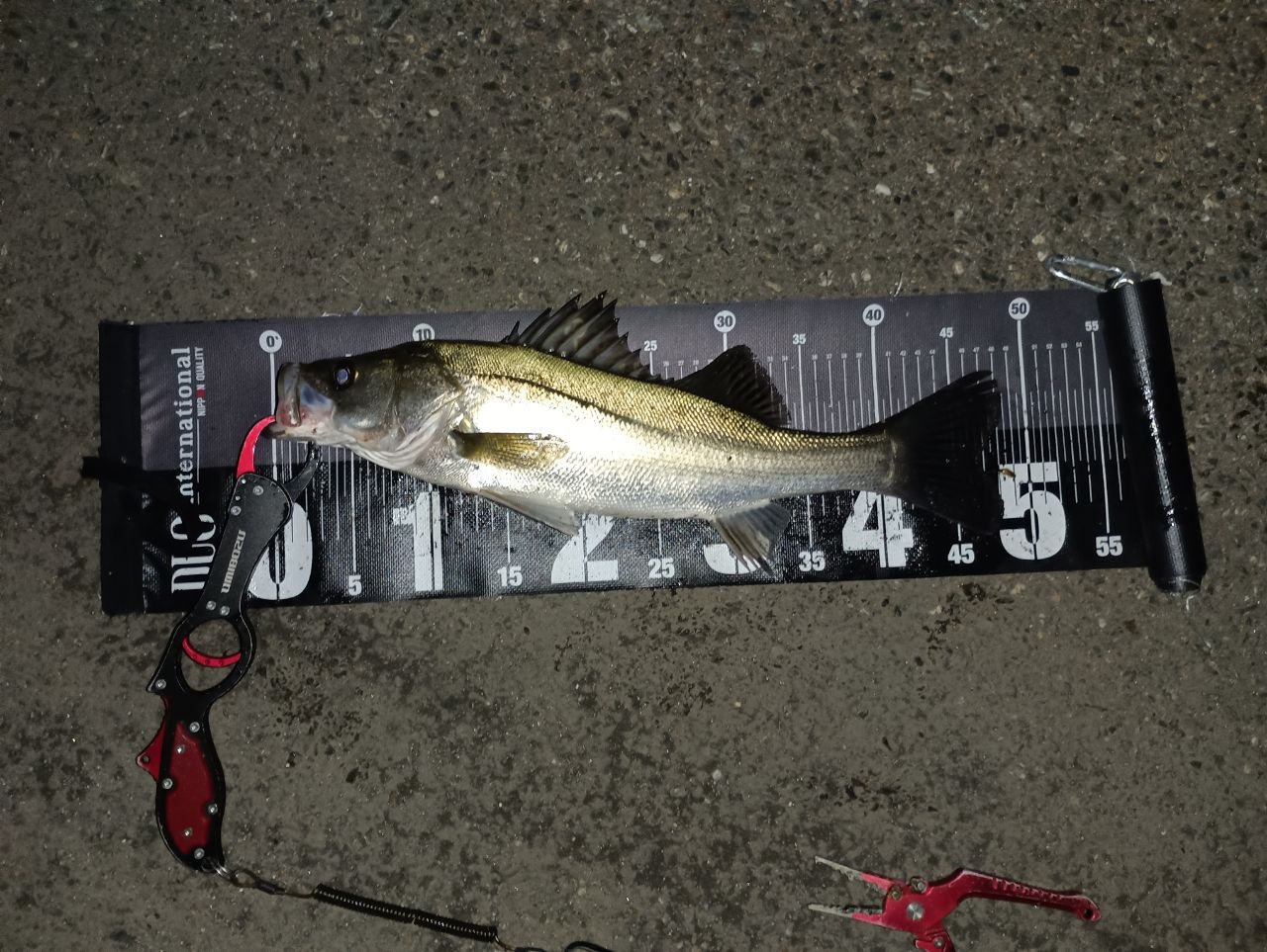 SHIMANO 19ヴァンキッシュ C5000XGの最安値・インプレ・釣果 | 本音の