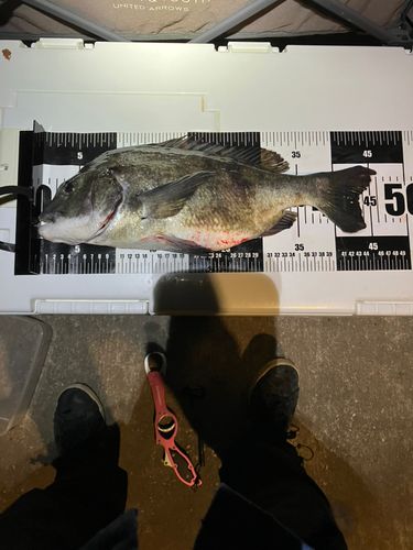 金沢水際線緑地（福浦岸壁）