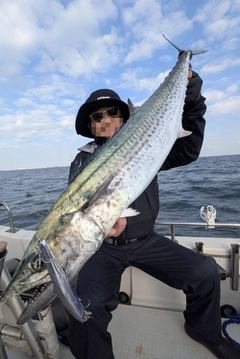 サワラの釣果