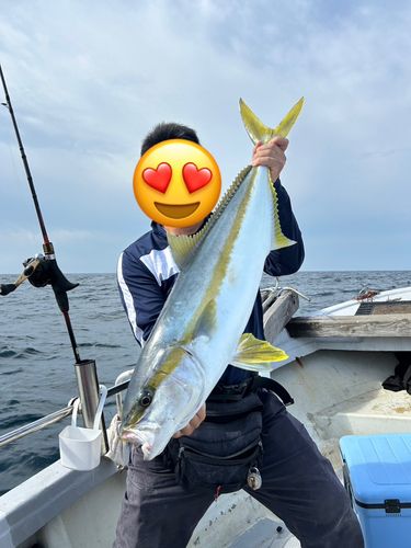 ヒラマサの釣果