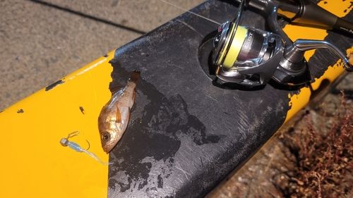 小湊漁港（青森）