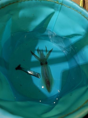 小樽港厩町岸壁