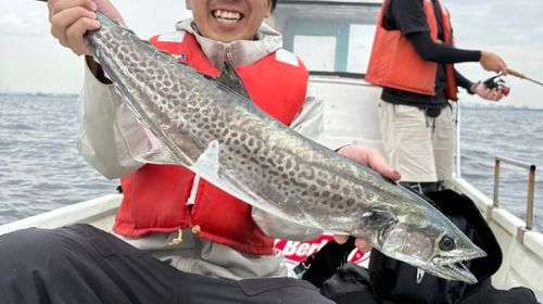 東京湾（アクアライン〜富津）