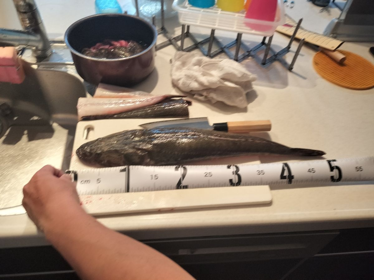 ばんないさんの釣果 2枚目の画像