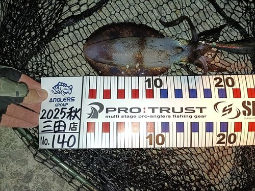 アジュール舞子