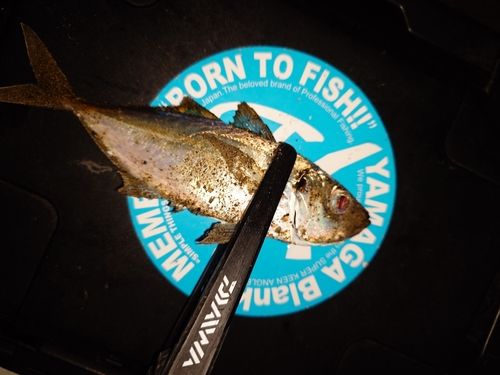 東京湾（アクアライン〜富津）