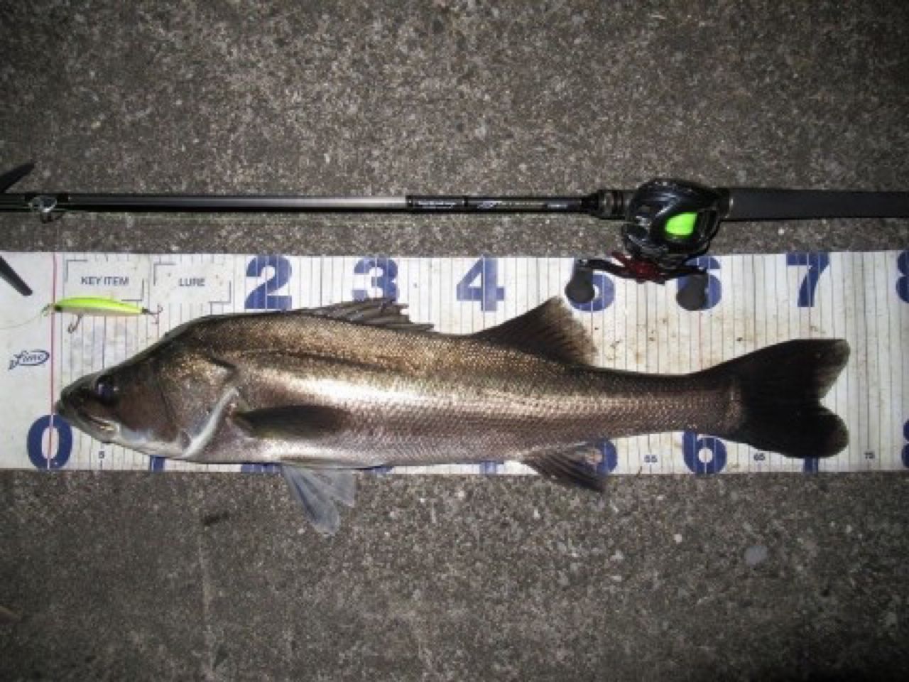 tailwalk フルレンジ CCの最安値・インプレ・釣果 | 本音の口コミが