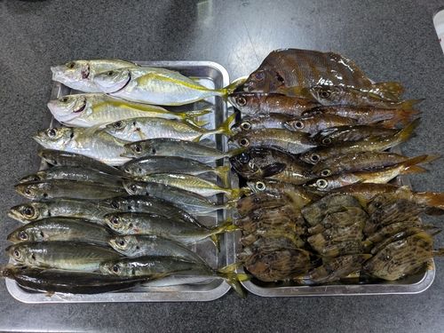 鹿島港魚釣園