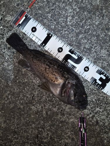 三陸海岸（岩手）