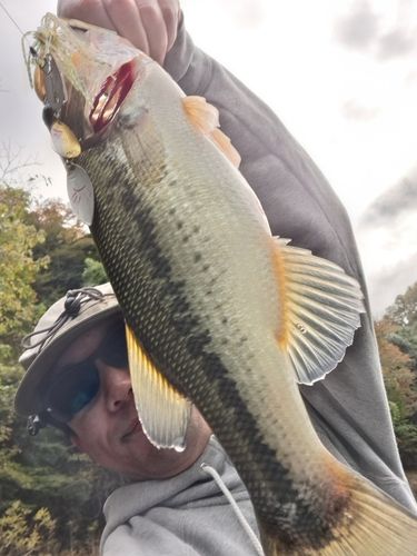 焼大トンネル下