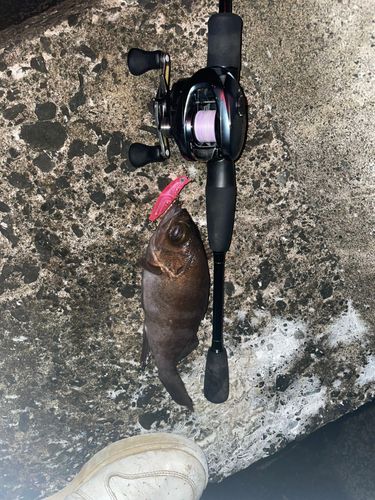 小湊漁港（青森）