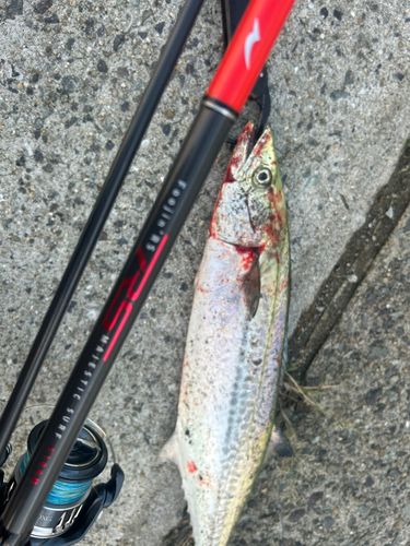 南芦屋浜ベランダ