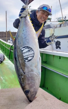キハダマグロの釣果