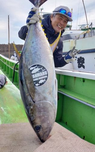 キハダマグロの釣果